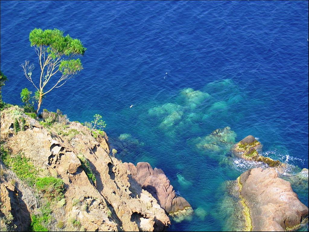 Vacanceole - Les Calanques Du Parc Fréjus Dış mekan fotoğraf